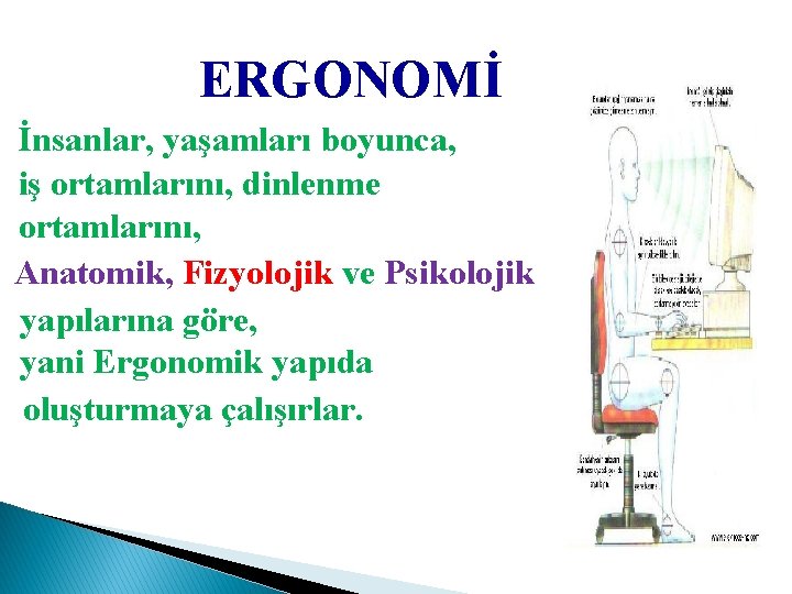 ERGONOMİ İnsanlar, yaşamları boyunca, iş ortamlarını, dinlenme ortamlarını, Anatomik, Fizyolojik ve Psikolojik yapılarına göre,