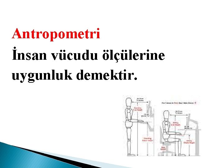 Antropometri İnsan vücudu ölçülerine uygunluk demektir. 