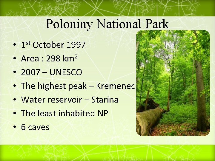 Poloniny National Park • • 1 st October 1997 Area : 298 km 2