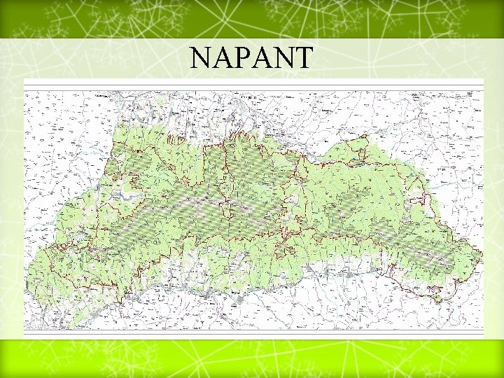 NAPANT 