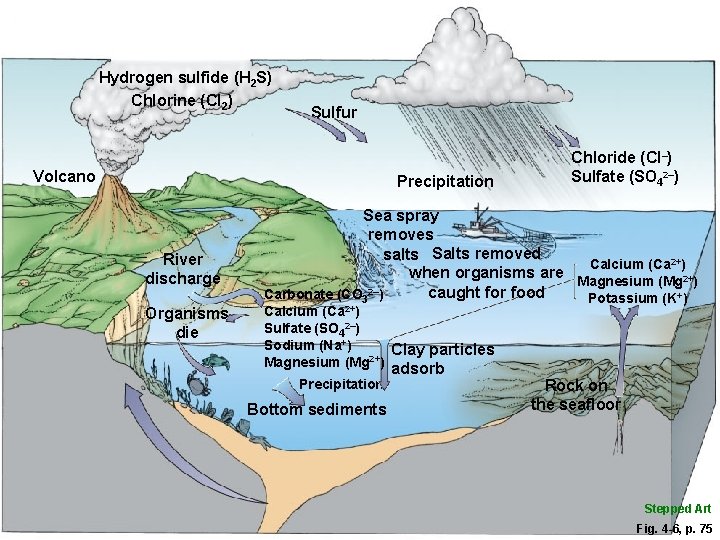 Hydrogen sulfide (H 2 S) Chlorine (Cl 2) Sulfur Volcano Precipitation River discharge Organisms