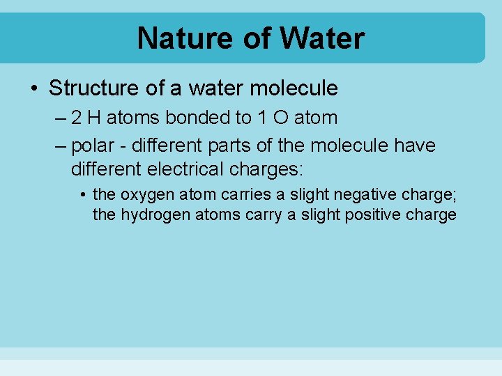 Nature of Water • Structure of a water molecule – 2 H atoms bonded