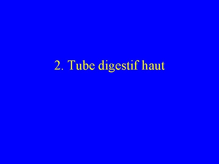 2. Tube digestif haut 