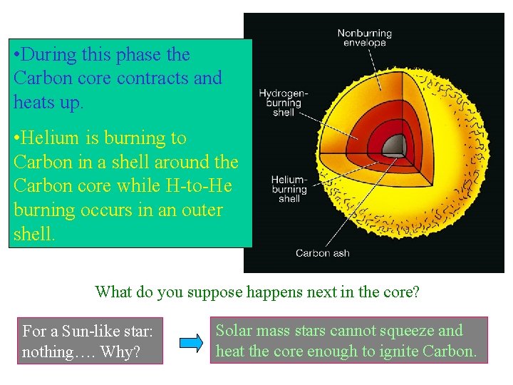 • During this phase the Carbon core contracts and heats up. • Helium • During this phase the Carbon core contracts and heats up. • Helium