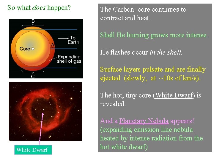 So what does happen? The Carbon core continues to contract and heat. Shell He So what does happen? The Carbon core continues to contract and heat. Shell He