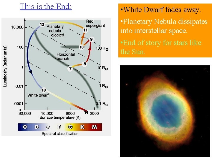 This is the End: • White Dwarf fades away. • Planetary Nebula dissipates into This is the End: • White Dwarf fades away. • Planetary Nebula dissipates into