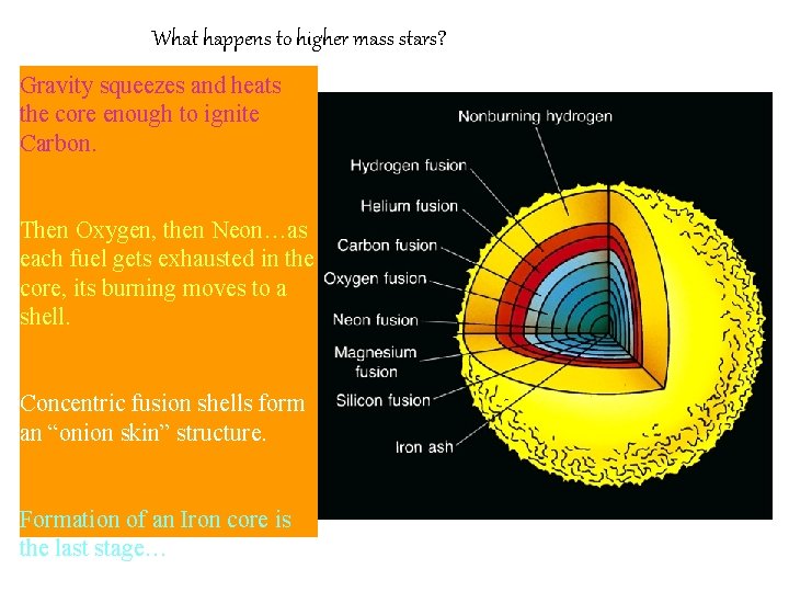 What happens to higher mass stars? Gravity squeezes and heats the core enough to What happens to higher mass stars? Gravity squeezes and heats the core enough to