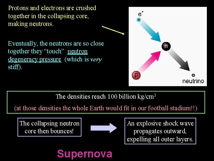 Protons and electrons are crushed together in the collapsing core, making neutrons. Eventually, the Protons and electrons are crushed together in the collapsing core, making neutrons. Eventually, the