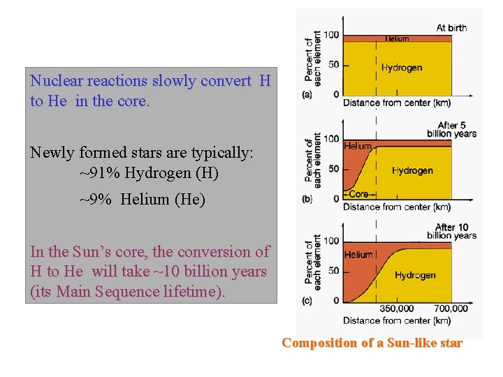 Nuclear reactions slowly convert H to He in the core. Newly formed stars are Nuclear reactions slowly convert H to He in the core. Newly formed stars are