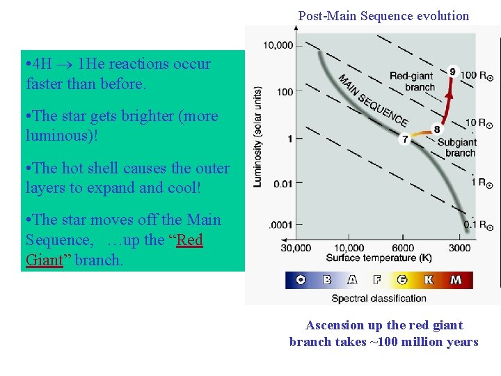 Post-Main Sequence evolution • 4 H 1 He reactions occur faster than before. • Post-Main Sequence evolution • 4 H 1 He reactions occur faster than before. •