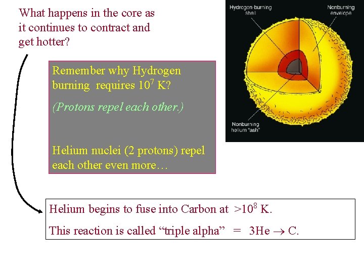 What happens in the core as it continues to contract and get hotter? Remember What happens in the core as it continues to contract and get hotter? Remember
