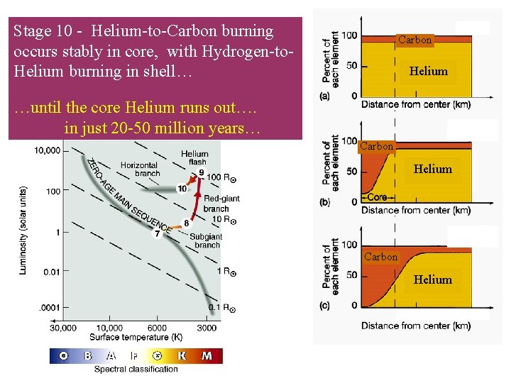 Stage 10 - Helium-to-Carbon burning occurs stably in core, with Hydrogen-to. Helium burning in Stage 10 - Helium-to-Carbon burning occurs stably in core, with Hydrogen-to. Helium burning in