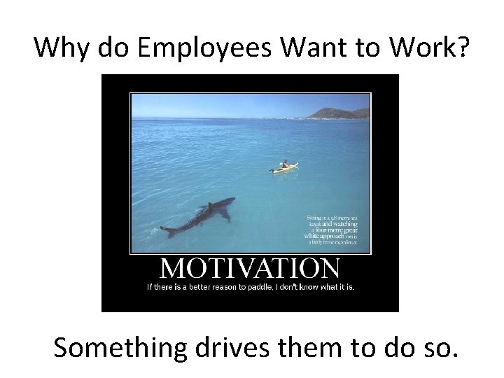 Why do Employees Want to Work? Something drives them to do so. 