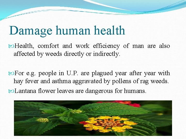 Damage human health Health, comfort and work efficiency of man are also affected by