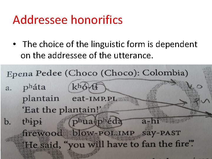 Addressee honorifics • The choice of the linguistic form is dependent on the addressee