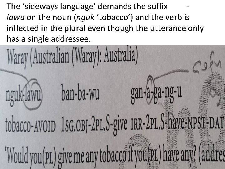 The ‘sideways language’ demands the suffix lawu on the noun (nguk ‘tobacco’) and the