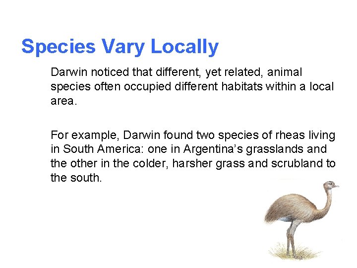 Species Vary Locally Darwin noticed that different, yet related, animal species often occupied different