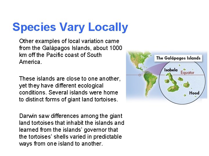 Species Vary Locally Other examples of local variation came from the Galápagos Islands, about