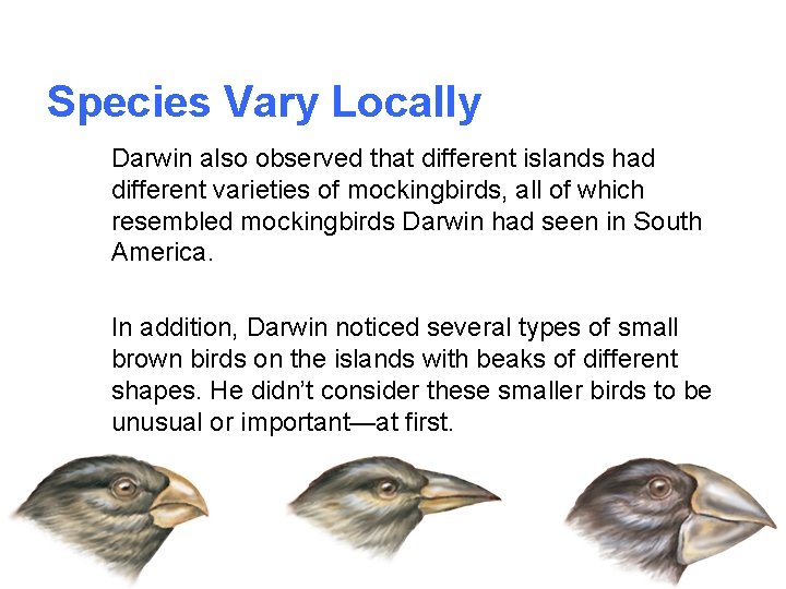 Species Vary Locally Darwin also observed that different islands had different varieties of mockingbirds,