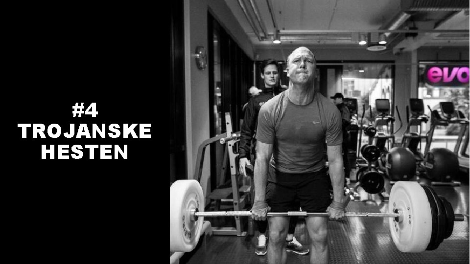 #4 TROJANSKE HESTEN 
