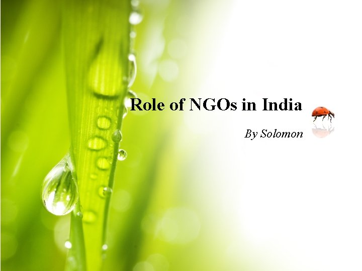 Role of NGOs in India By Solomon 