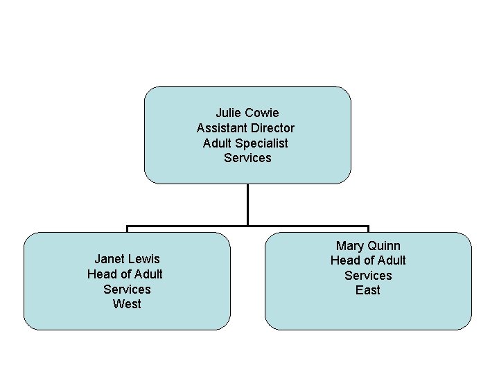Julie Cowie Assistant Director Adult Specialist Services Janet Lewis Head of Adult Services West