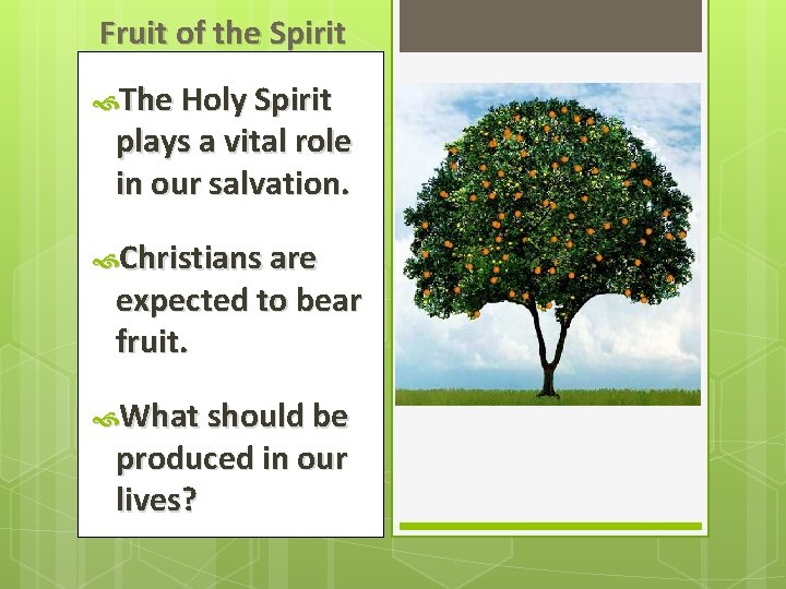 Fruit of the Spirit The Holy Spirit plays a vital role in our salvation.