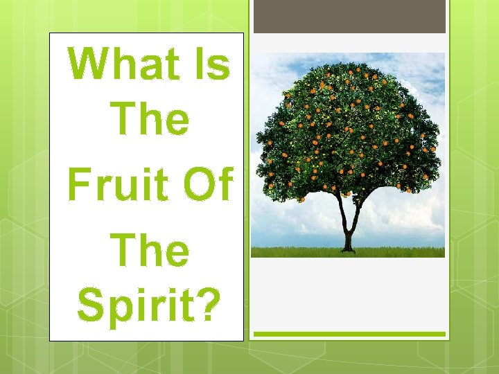 What Is The Fruit Of The Spirit? 