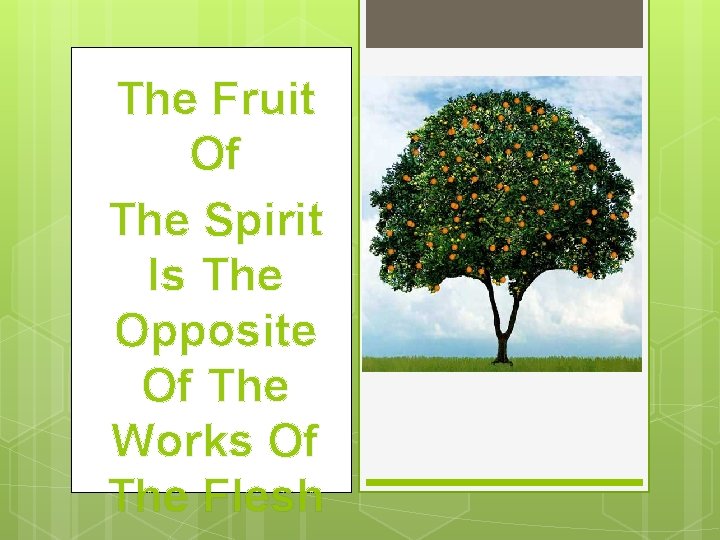 The Fruit Of The Spirit Is The Opposite Of The Works Of The Flesh