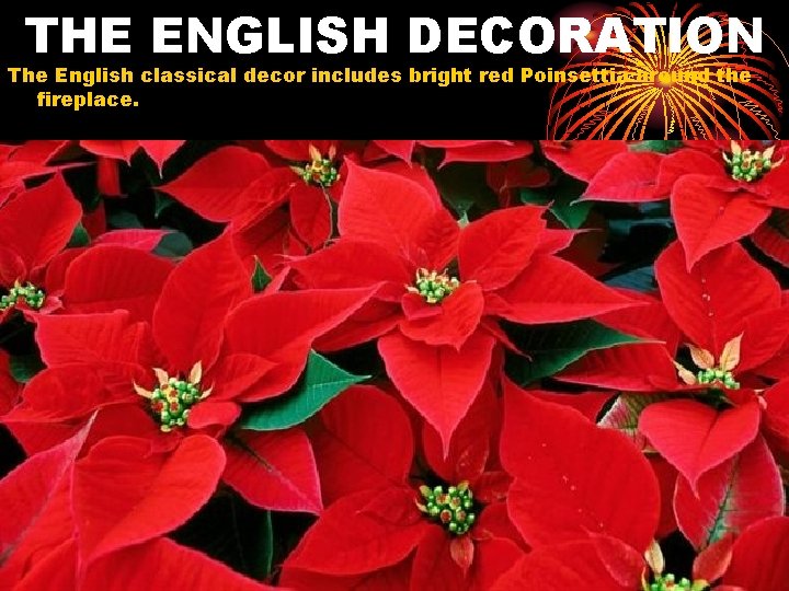 THE ENGLISH DECORATION The English classical decor includes bright red Poinsettia around the fireplace.