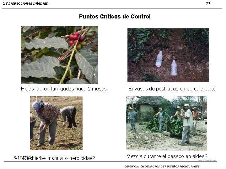 5. 2 Inspecciones Internas 11 Puntos Críticos de Control Hojas fueron fumigadas hace 2 5. 2 Inspecciones Internas 11 Puntos Críticos de Control Hojas fueron fumigadas hace 2