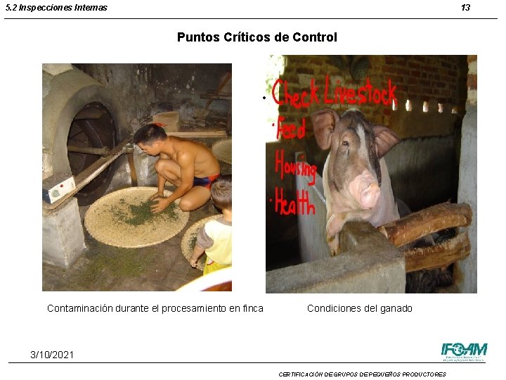 5. 2 Inspecciones Internas 13 Puntos Críticos de Control • Contaminación durante el procesamiento 5. 2 Inspecciones Internas 13 Puntos Críticos de Control • Contaminación durante el procesamiento
