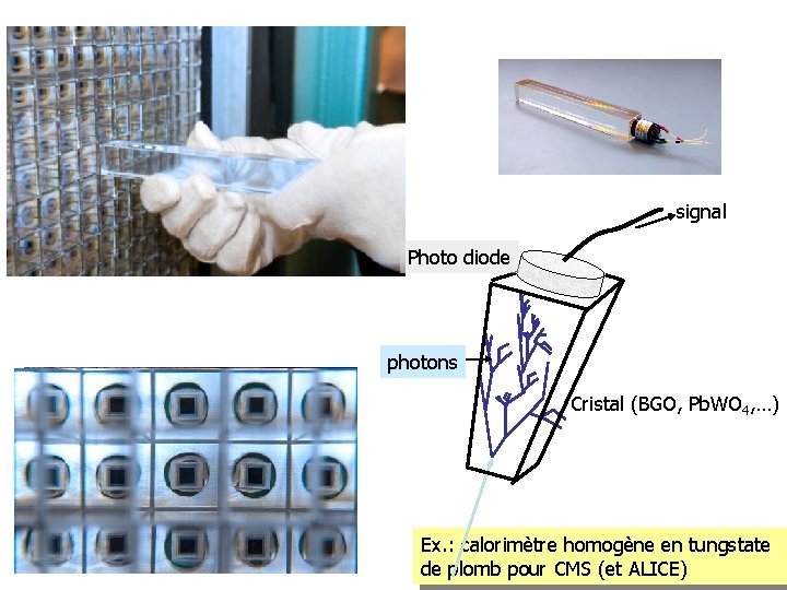 signal Photo diode photons Cristal (BGO, Pb. WO 4, …) Ex. : calorimètre homogène signal Photo diode photons Cristal (BGO, Pb. WO 4, …) Ex. : calorimètre homogène