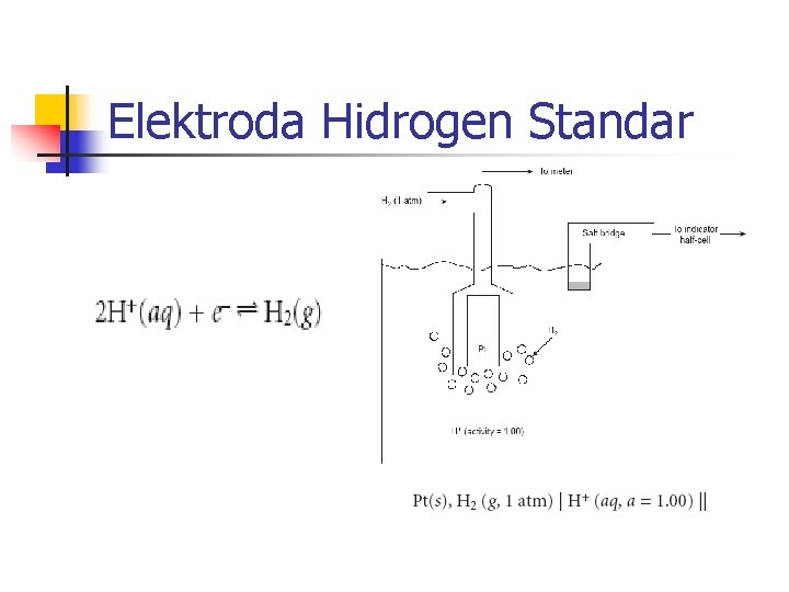 Elektroda Hidrogen Standar 