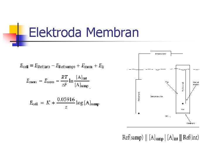 Elektroda Membran Elektroda Membran