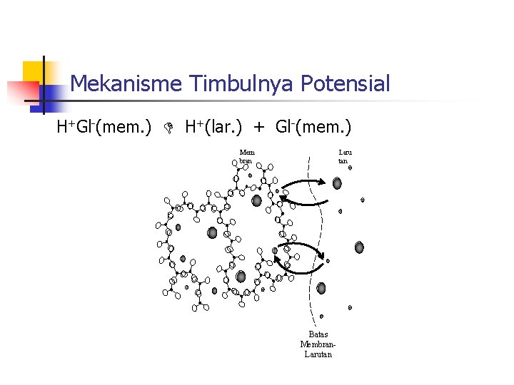 Mekanisme Timbulnya Potensial H+Gl-(mem. ) H+(lar. ) + Gl-(mem. ) Mem bran Laru tan