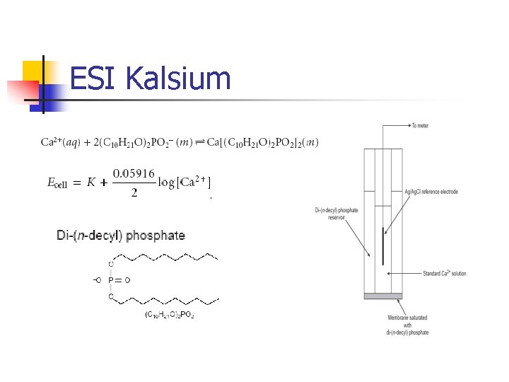 ESI Kalsium ESI Kalsium