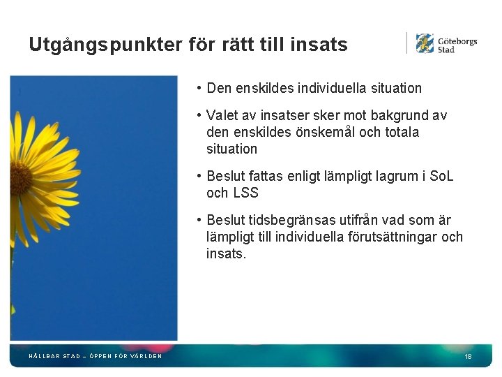 Utgångspunkter för rätt till insats • Den enskildes individuella situation • Valet av insatser