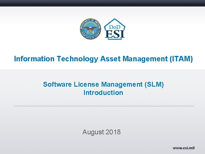 Information Technology Asset Management (ITAM) Software License Management (SLM) Introduction August 2018 
