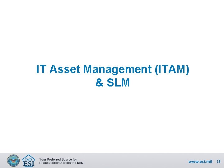 IT Asset Management (ITAM) & SLM 12 