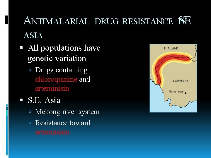 ANTIMALARIAL DRUG RESISTANCE IN SE ASIA All populations have genetic variation Drugs containing chloroquinine