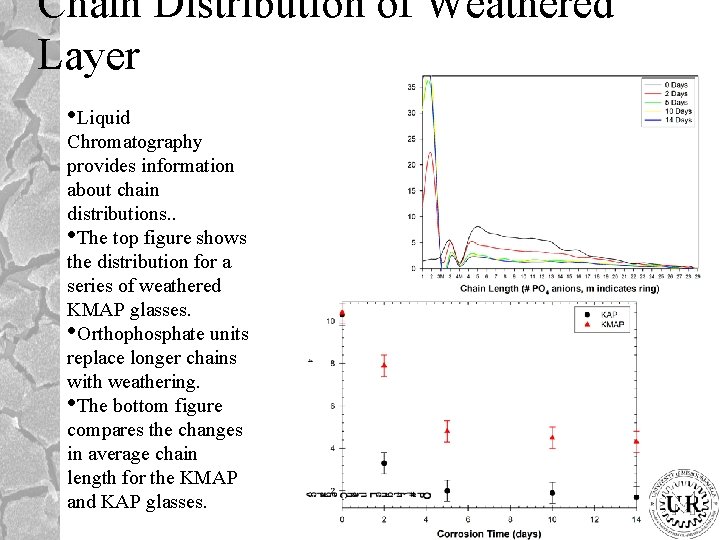 Chain Distribution of Weathered Layer • Liquid Chromatography provides information about chain distributions. .