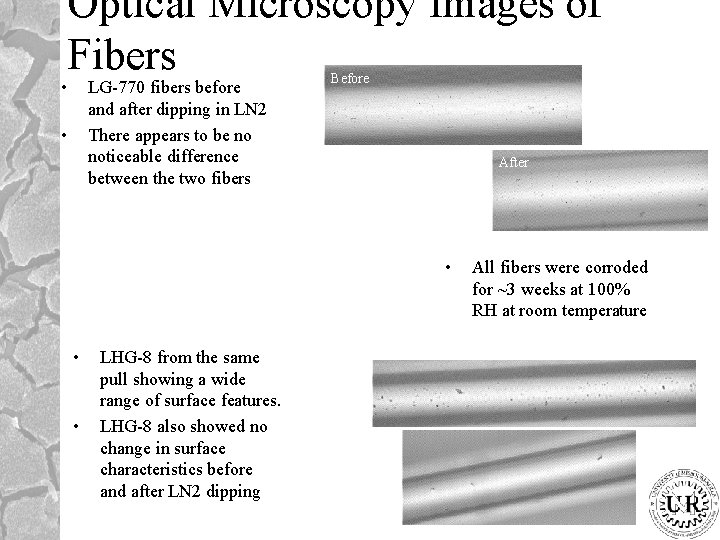 Optical Microscopy Images of Fibers • LG-770 fibers before and after dipping in LN