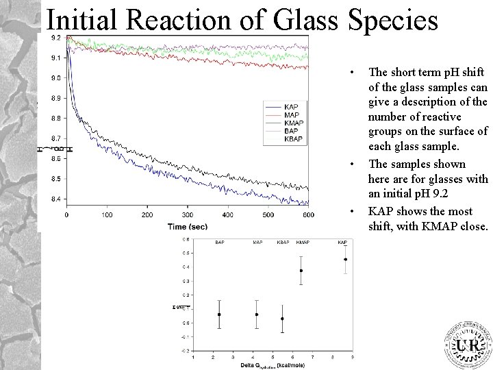 Initial Reaction of Glass Species • • • The short term p. H shift