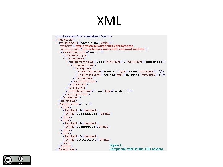 XML 