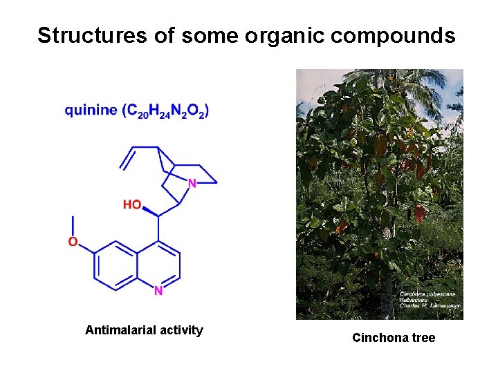 Structures of some organic compounds Antimalarial activity Cinchona tree 