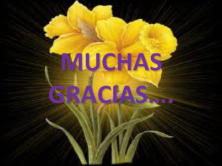 MUCHAS GRACIAS…. MUCHAS GRACIAS….