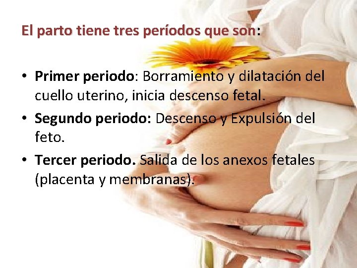 El parto tiene tres períodos que son: son • Primer periodo: Borramiento y dilatación El parto tiene tres períodos que son: son • Primer periodo: Borramiento y dilatación
