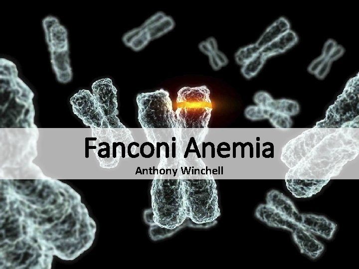 Fanconi Anemia Anthony Winchell 