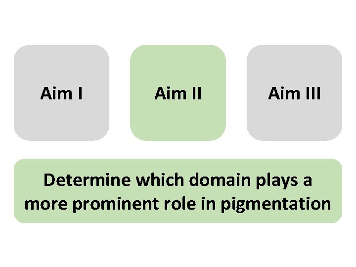 Aim III Determine which domain plays a more prominent role in pigmentation 